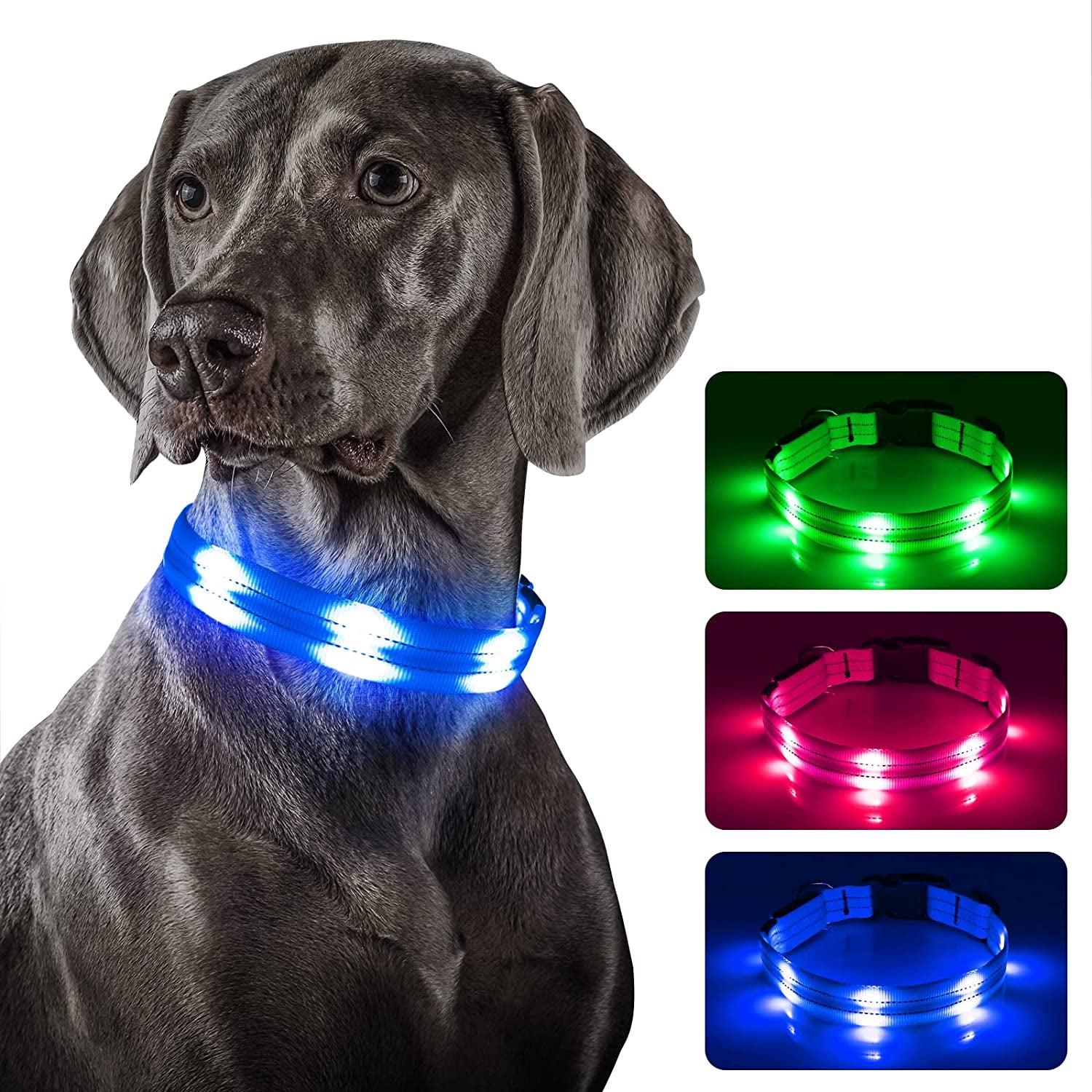 Dolitego Light up Dog Collars - USB Rechargeable Reflective Glowing Puppy Collar, Adjustable LED Pet Collar Lights for Night Dog Walking (Large, Blue)